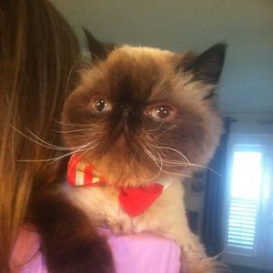 Meet your Posher, Gerri